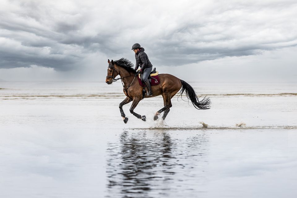 Reiterin galoppiert durchs Wasser am Strand
