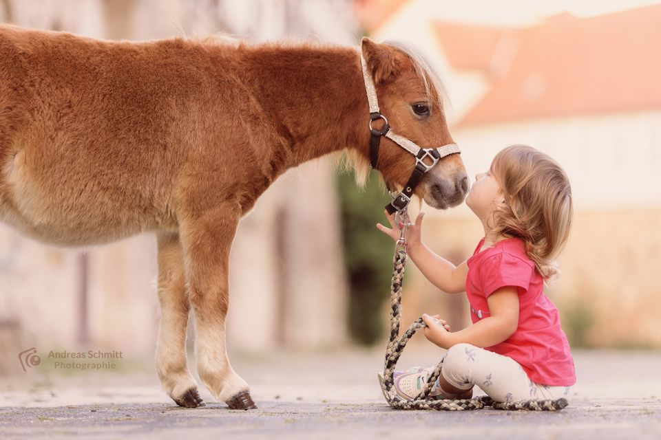 Kleines Mädchen gibt einem Pony einen Kuss